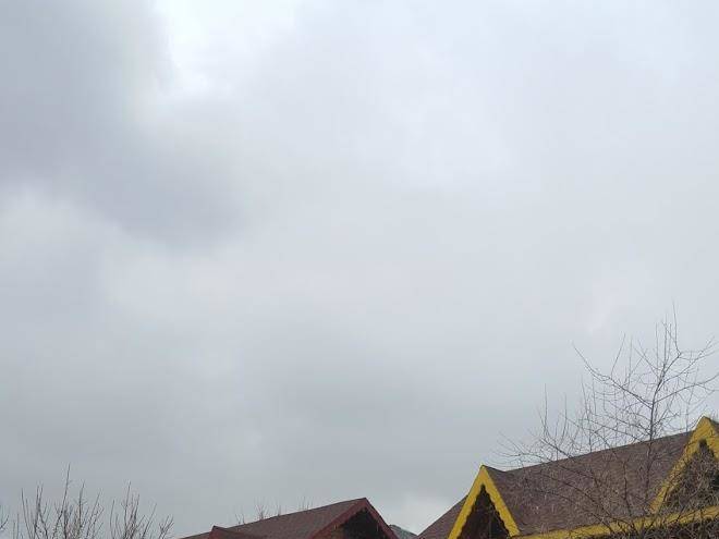 Dus yolcusu at ciftligi