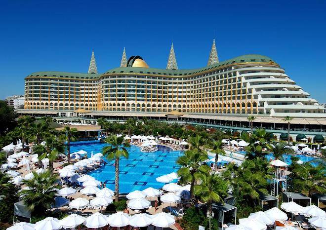 Dolphin hotel