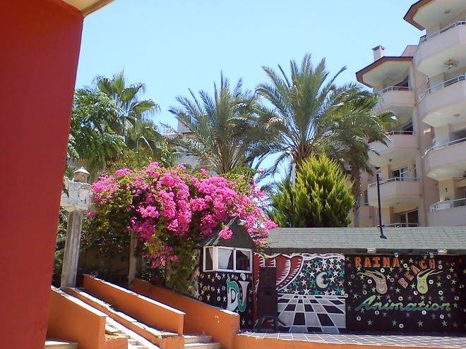 Royal rose hotel