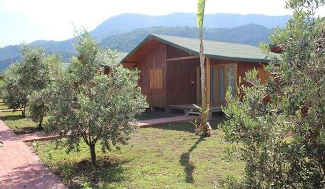 Armina pension