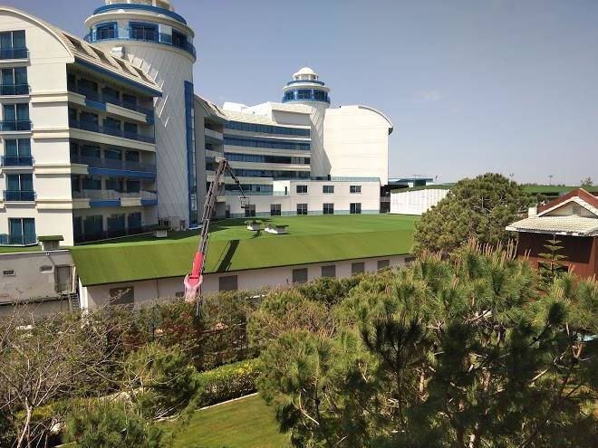 Cornelia Diamond Image