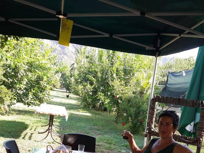Cirali kus yuvasi pansiyon manti gozleme
