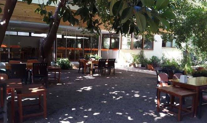 Cirali olympos hotel