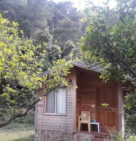 Garden pansiyon