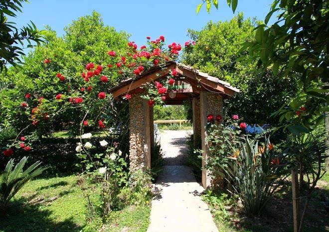 Gunes pension