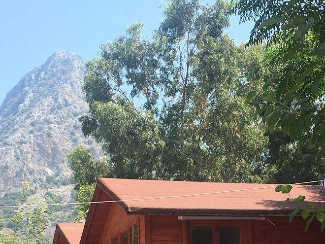 Hamiyet ogretmenin tati evi