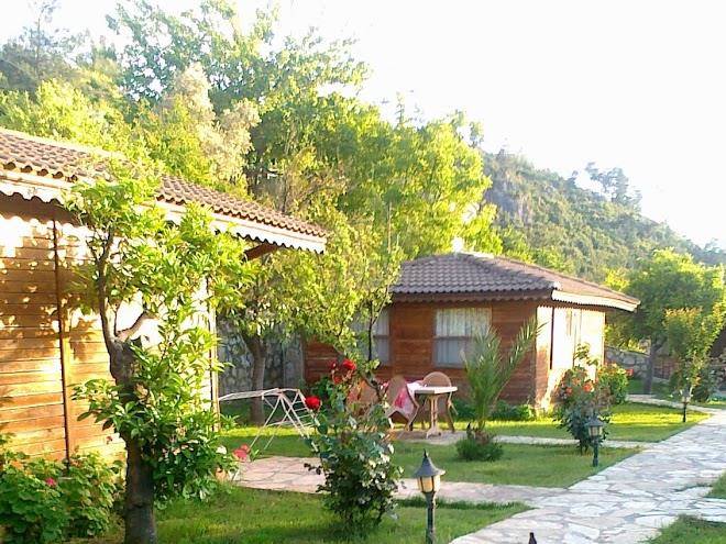 Hidden garden