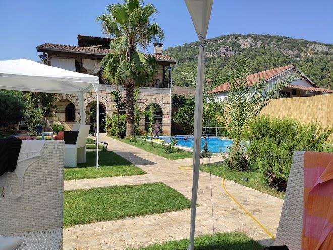 Jungle Captain Eudemos Olimpos Image