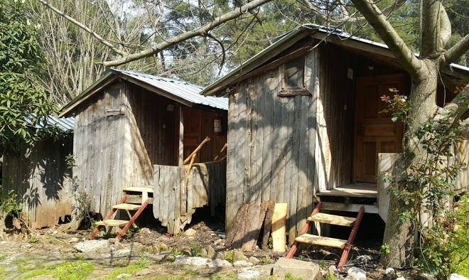 Olympos camlik pansiyon