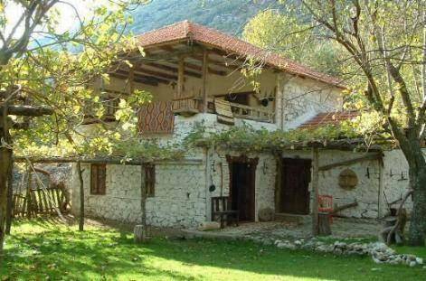Owlsland otel