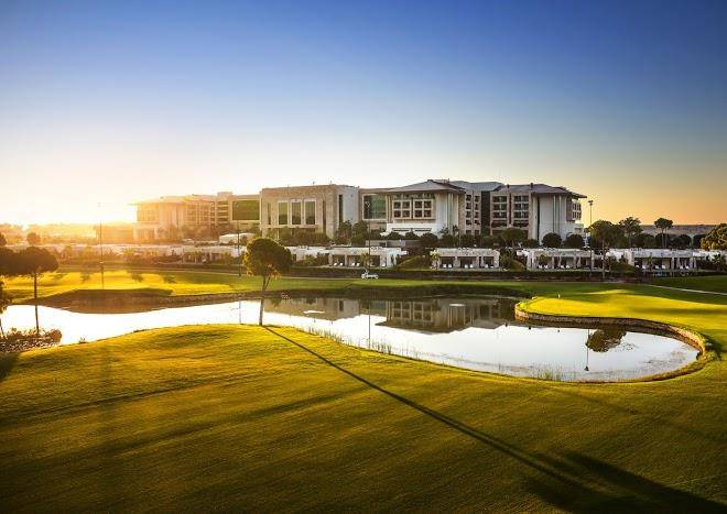 Regnum carya