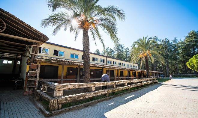 Orfe tatil koyu