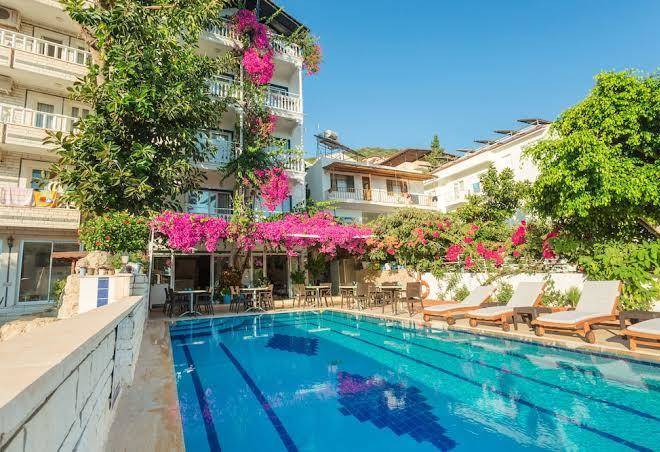 Otel koza