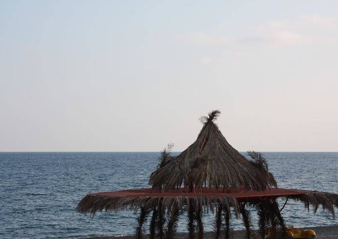 Royal palm resort restaurant