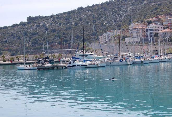 Olympos mitos hotel