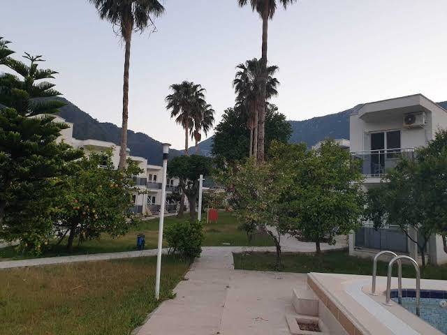 Otel albos