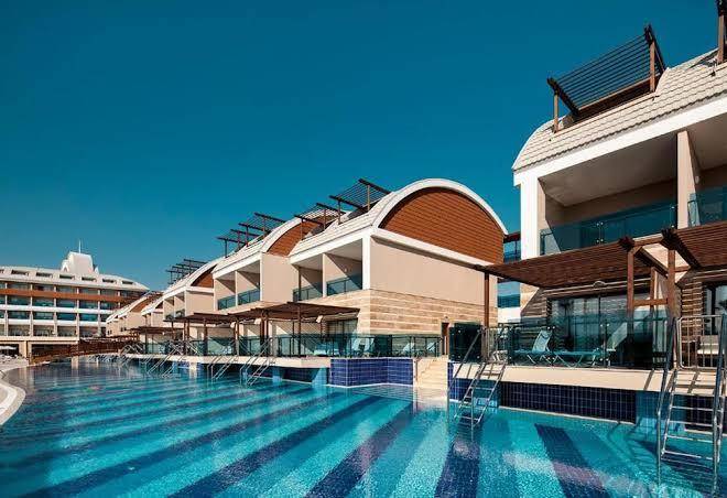 Tui magic life jacaranda