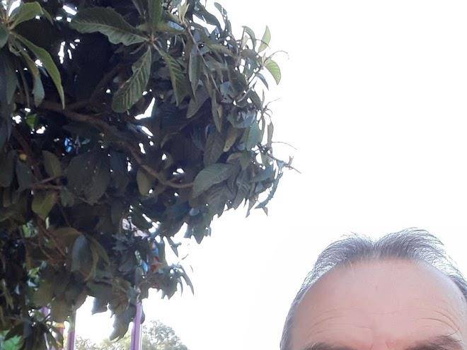 Muratpasa elit otel