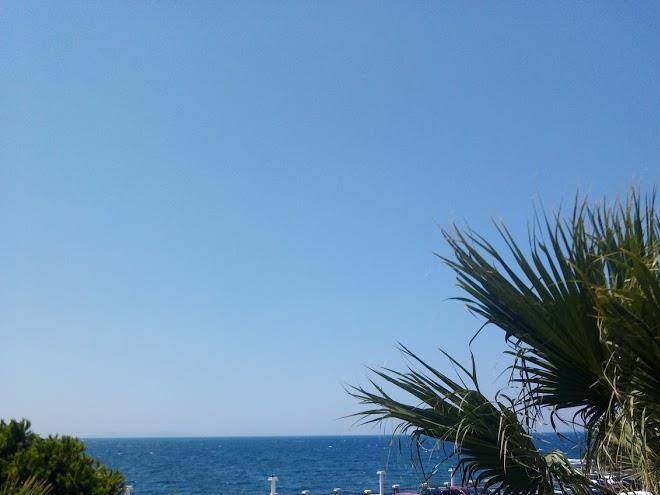 Clup tarhan tatil koyu