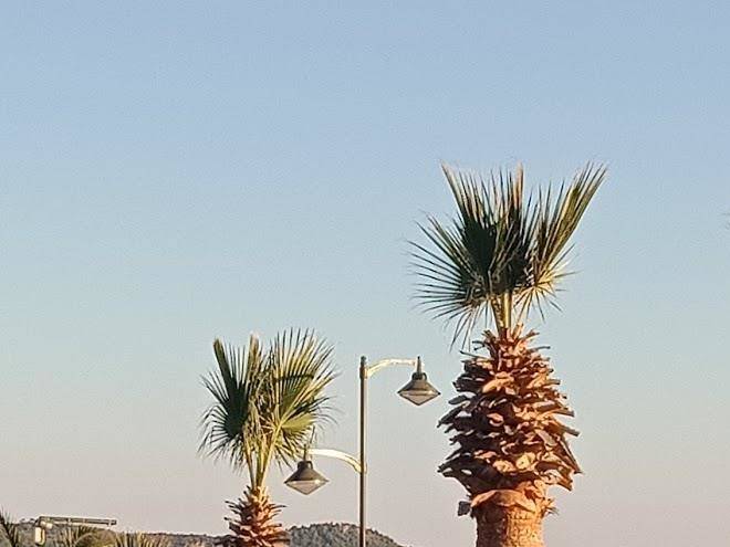 Aliye hanim hotel & bistro