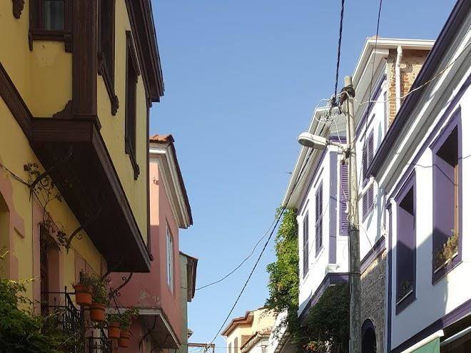 Dalgaci deniz