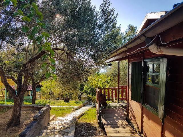 Albatross dag evleri butik otel