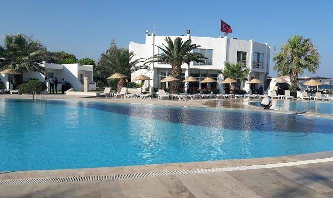 Artemis oren tatil koyu