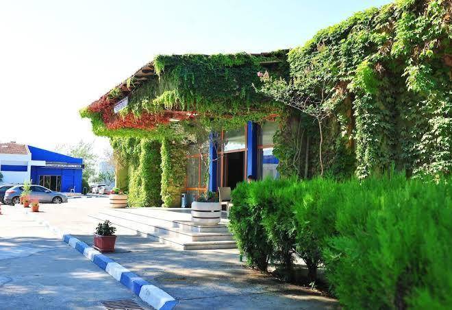 Afytos tatil koyu akcay
