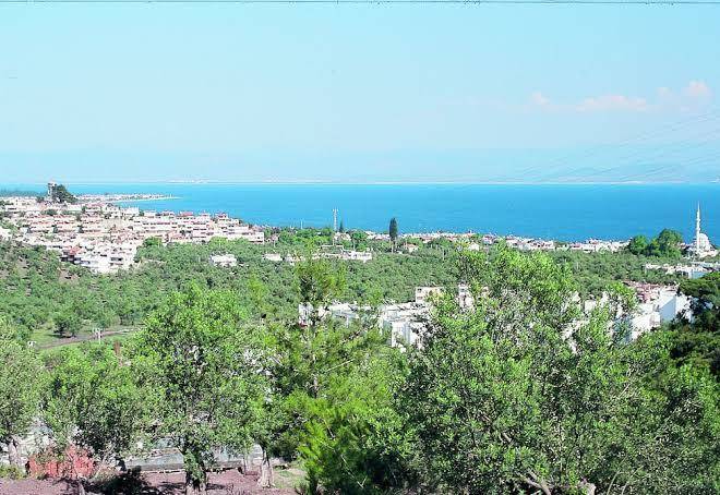 Club afrodit tatil koyu
