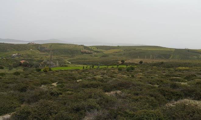 Hotel Europa Pandrossa Image