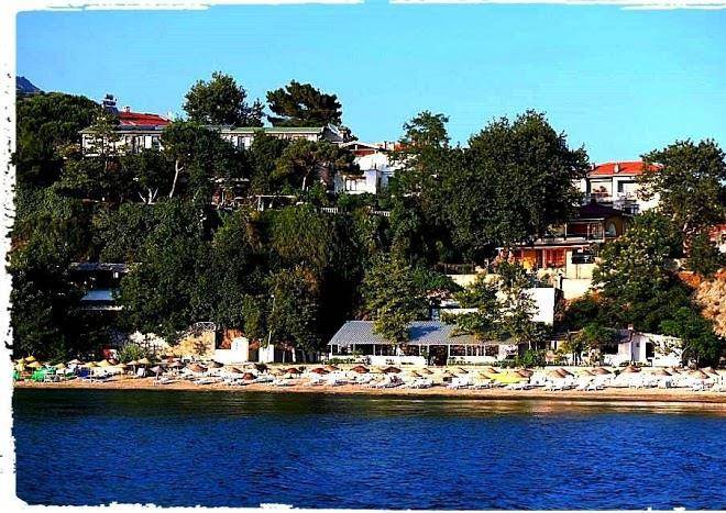 Hotel mola