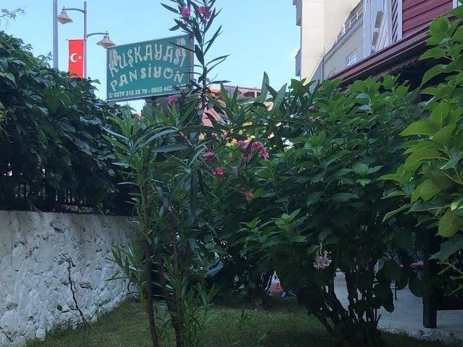 Kuskayasi pansiyon amasra
