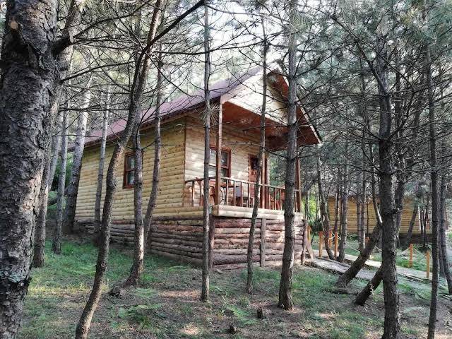 Mengen cam pinari doga evleri & restaurant