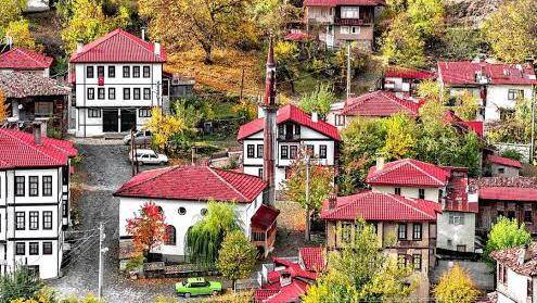Bokesoylar