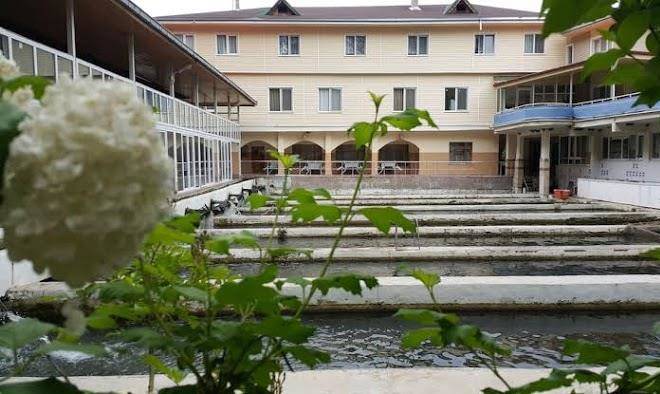 Alanlar alabalik ve otel