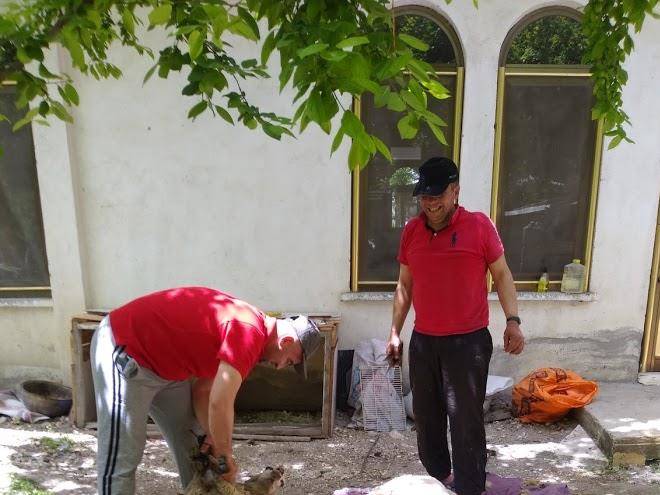 Otel hakan