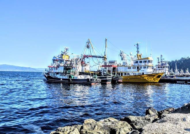 Tirilye Akide Otel Image