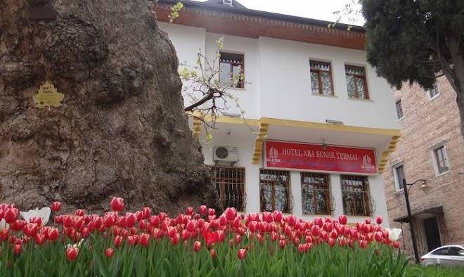 Arakonak termal hotel