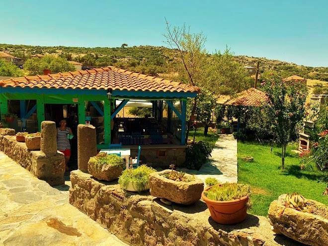 Alterna koy evi