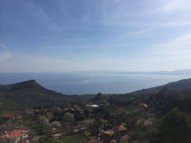 Kayalar Terrace Image