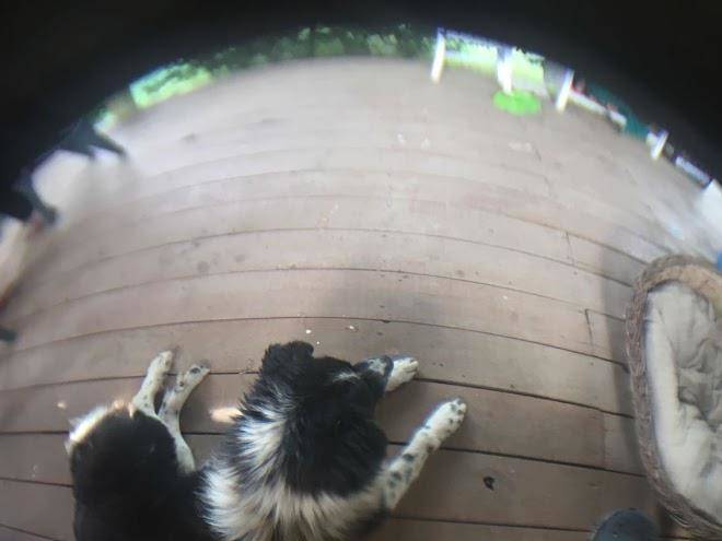 Ozgur Plaj Kamp Image