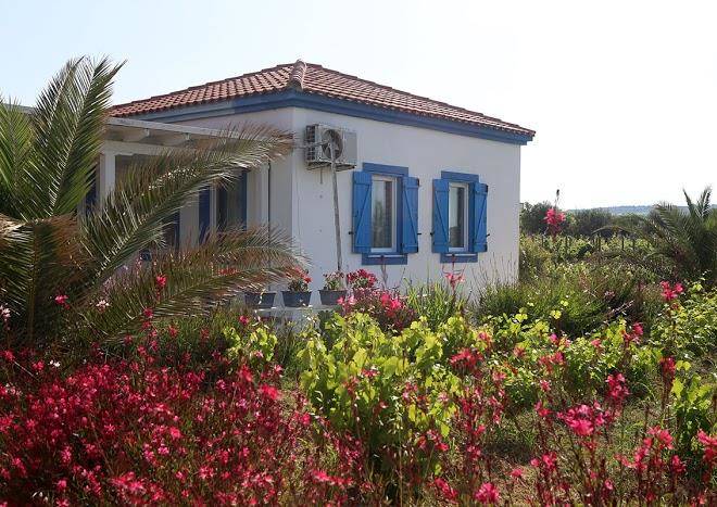 Bozcaada ilgin bag evi