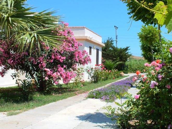Mine tatil evleri