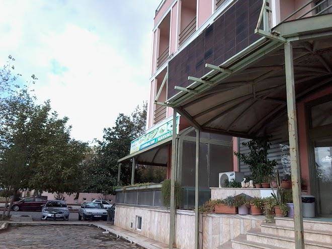 Otel sergis