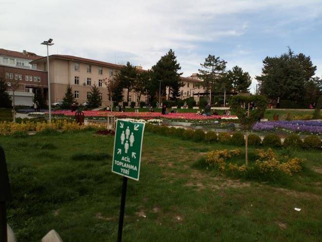 Bilge Suit Otel Image