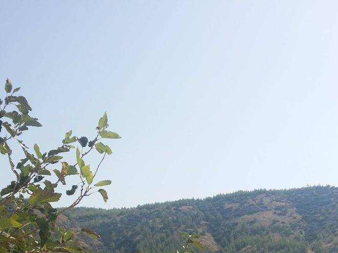 Azim pansiyon
