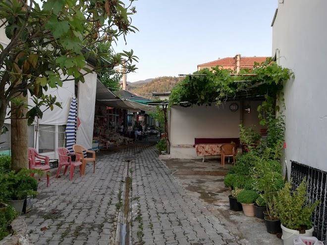 Saglik pansiyon