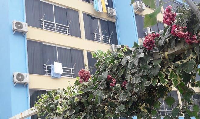 Anamur Balsen Hotel Image