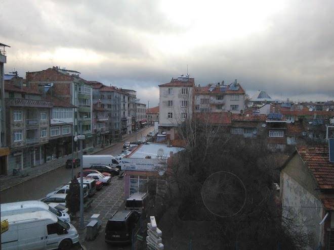 Hotel psidia