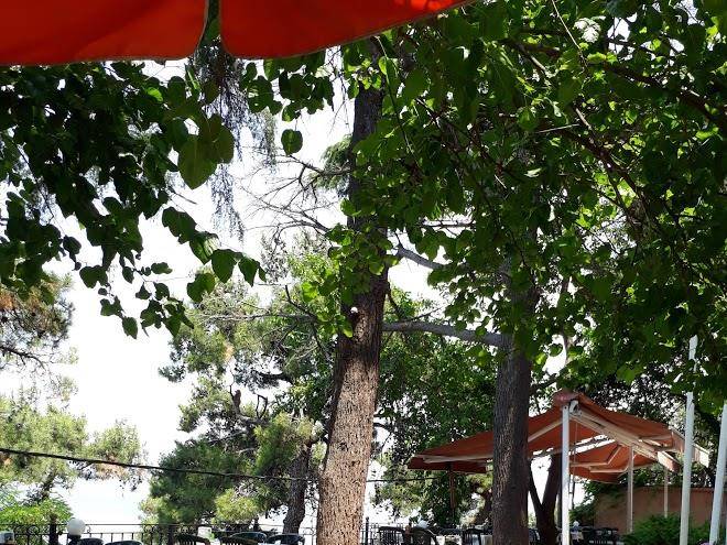 Burgazada ogretmenevi